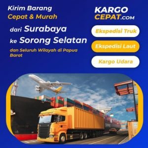 Read more about the article Ekspedisi Surabaya Sorong Selatan