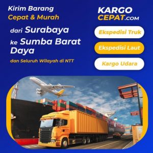 Read more about the article Ekspedisi Surabaya Sumba Barat Daya